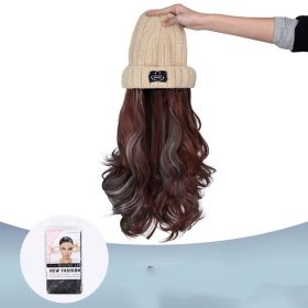 Autumn And Winter Fashion Beige Knit  Pick Dye Gradient Long Curly Hair Hundred Take Wig Hat (Option: 233WL)